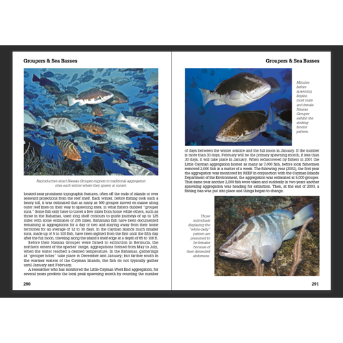 Reef Fish Behavior - Florida Caribbean Bahamas - 2nd Ed.